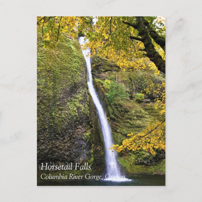 Postal Cataratas de cola, desfiladero del río Columbia, p (Anverso)