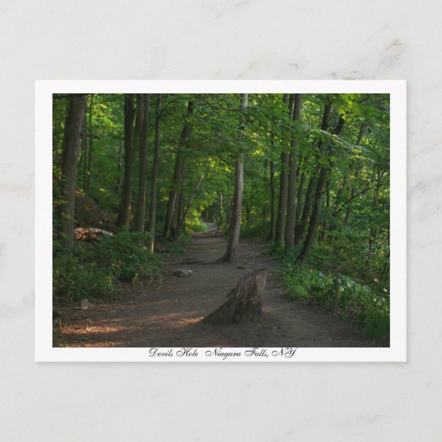Postal Cataratas de Devils    HoleNiagara, NY (Anverso)
