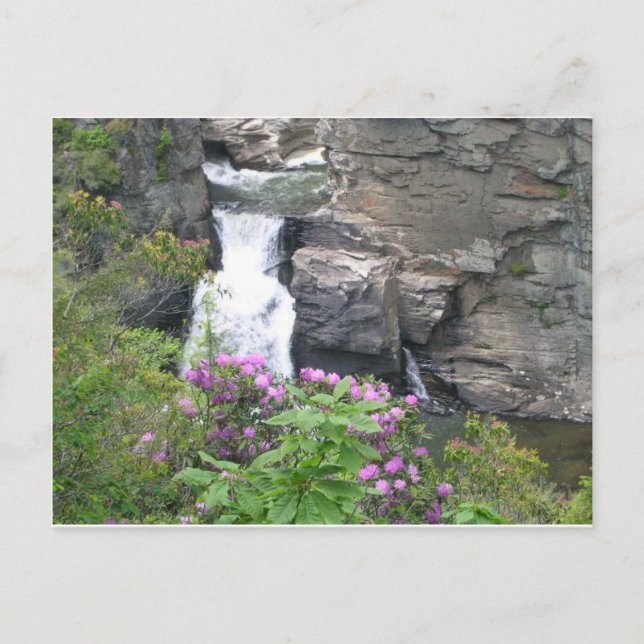 Postal Cataratas de Linville, Carolina del Norte (Anverso)