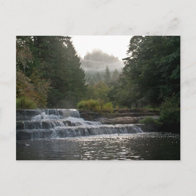 Postal Cataratas de Siuslaw (Anverso)