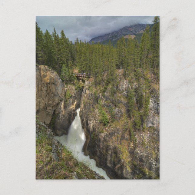 Postal Cataratas de Sunwapta (Anverso)
