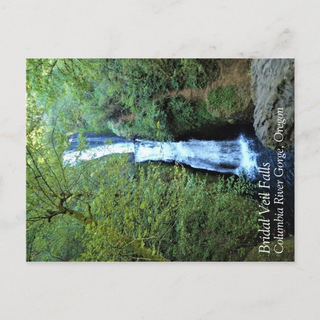 Postal Cataratas de velo de novias, Oregón (Anverso)