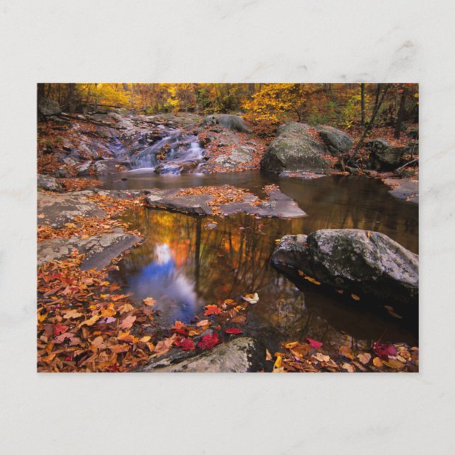 Postal Cataratas del Alto Whiteoak, Parque Nacional Shena (Anverso)