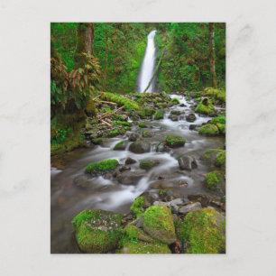Postal Cataratas del arroyo, desfiladero del río Columbia