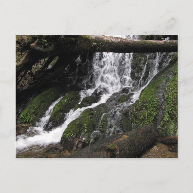 Postal Cataratas del Parque Estatal Redwood (Anverso)