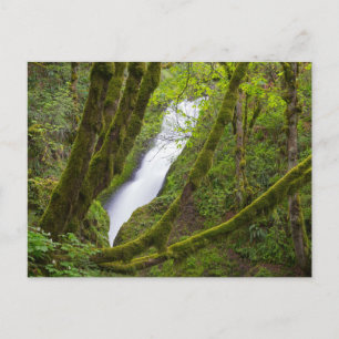 Postal Cataratas del velo