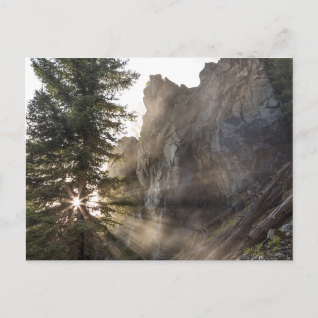 Postal Cataratas Holland | Bosque nacional de Lolo, Monta (Anverso)