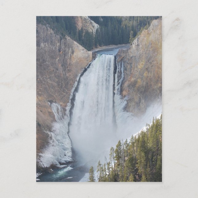 Postal Cataratas inferiores del Yellowstone (Anverso)