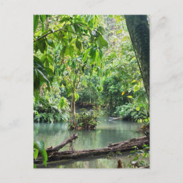 Postal Cataratas Khoung Si, Lago Forestal, Laos
