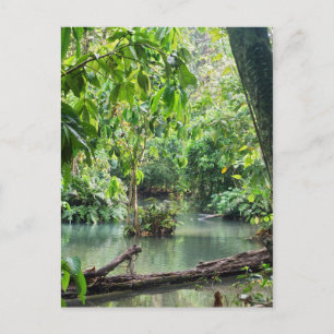 Postal Cataratas Khoung Si, Lago Forestal, Laos