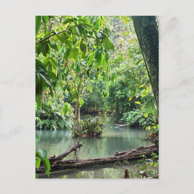 Postal Cataratas Khoung Si, Lago Forestal, Laos (Anverso)