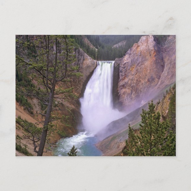 Postal Cataratas Lower Yellowstone, Gran Cañón de (Anverso)