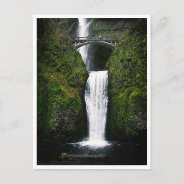 Postal Cataratas Postcard-Multnomah, Oregón (Anverso)