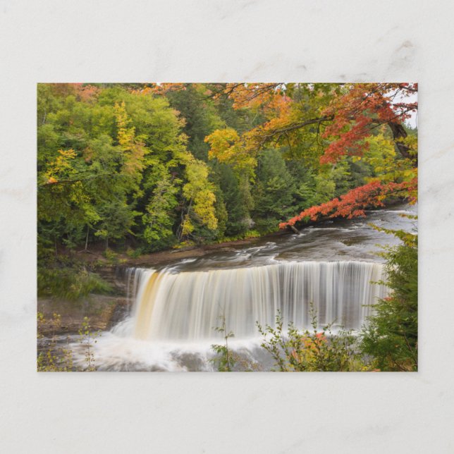 Postal Cataratas Tahquamenon en Otoño (Anverso)