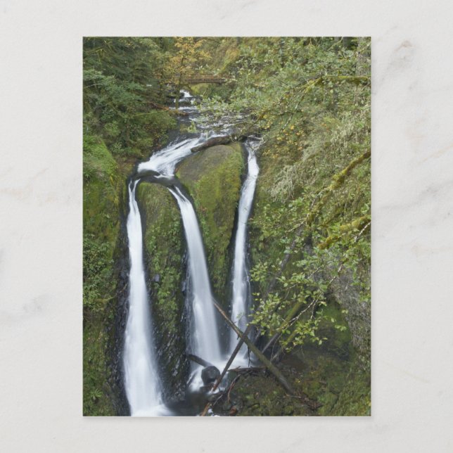 Postal Cataratas triples, desfiladero del río Columbia (Anverso)