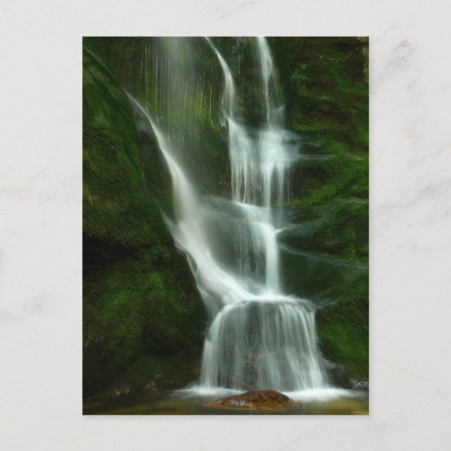 Postal Cataratas Tulip Creek, Castlegar BC (Anverso)
