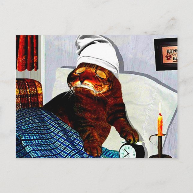 Postal CATaTUDE (Anverso)