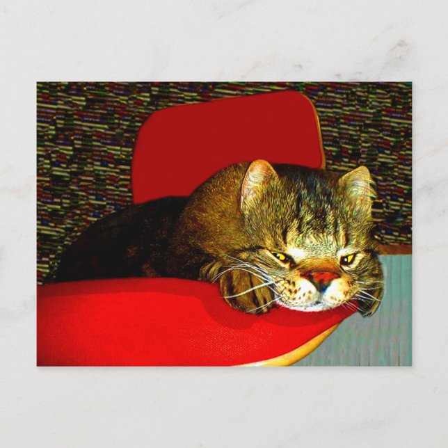 Postal CATaTUDE (Anverso)