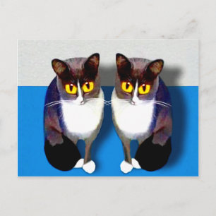 Postal CATaTUDE