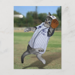 Postal ¡Catcher de gato en el campo exterior!