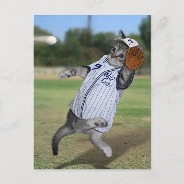 Postal ¡Catcher de gato en el campo exterior! (Anverso)