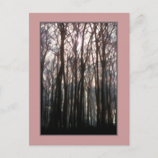 Postal Catedral de la Fotografía Inspiradora del Bosque