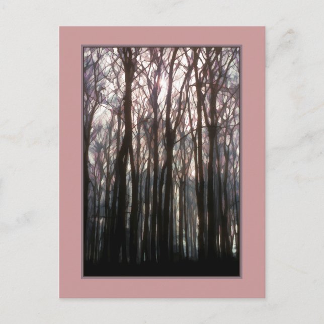Postal Catedral de la Fotografía Inspiradora del Bosque (Anverso)
