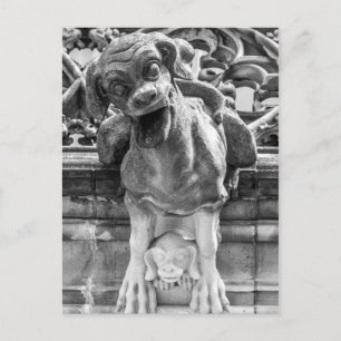 Postal Catedral de Munster Gargoyle - Berna - Suiza