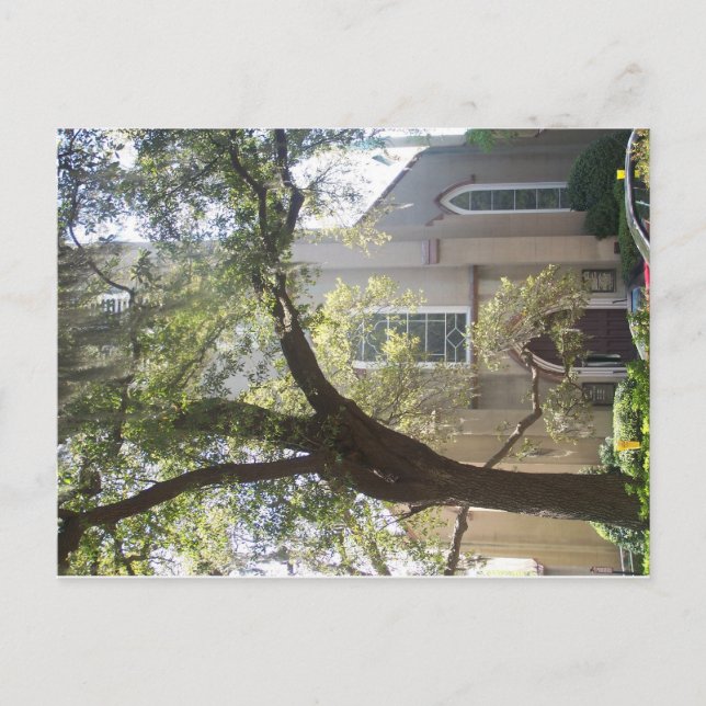 Postal Catedral de Santa María (Anverso)