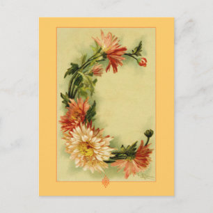 Postal Catherine Klein Flor Alphabet C Chrysanthemum