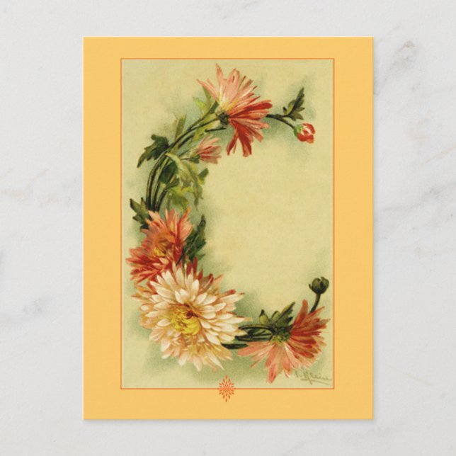 Postal Catherine Klein Flor Alphabet C Chrysanthemum (Anverso)