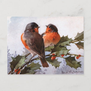 Postal Catherine Klein: Robins en Holly