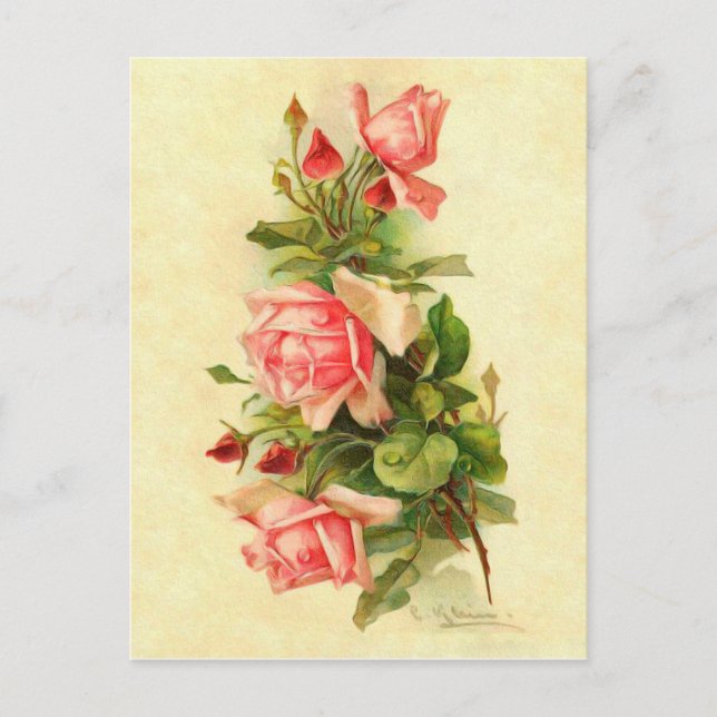 Postal Catherine Klein Rosas de Flores Victorianas Bouque (Anverso)