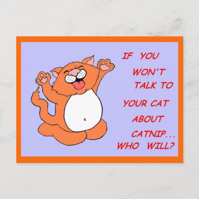 Postal Catnip Kitty Postcard (Anverso)