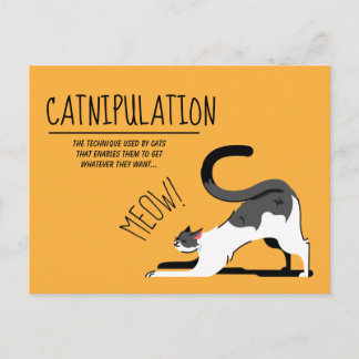 Postal Catnipulación Cat Aovers Meow Design