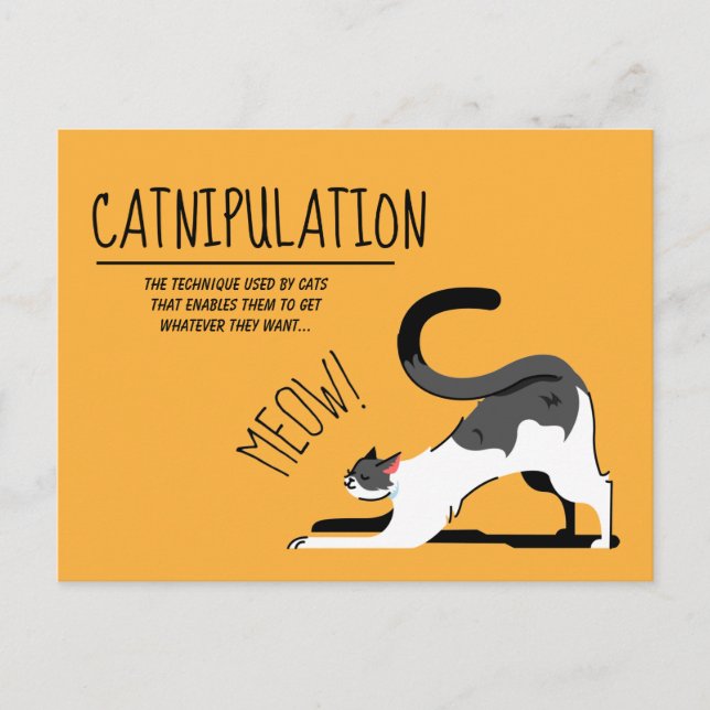 Postal Catnipulación Cat Aovers Meow Design (Anverso)