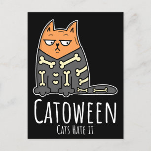 Postal Catoween Cats lo odian - Funny Mascota Halloween