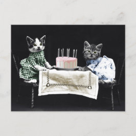 Postal Cats celebrating a birthday with cake and candles
