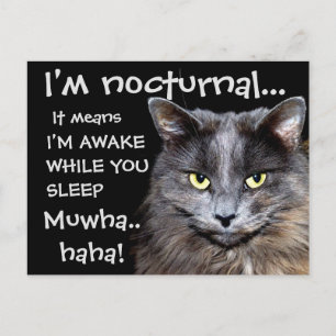 Postal Cats de Badass