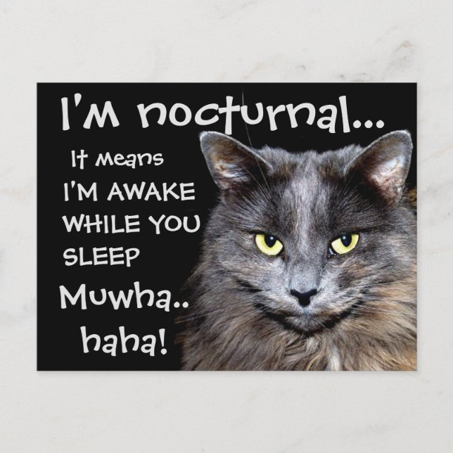 Postal Cats de Badass (Anverso)