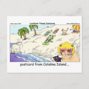 Postal Cats De Catalina Island Graciosos Regalos Cartas Y