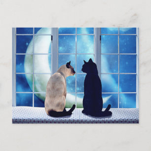 Postal Cats de ventana