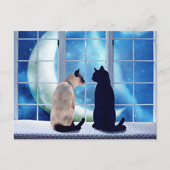 Postal Cats de ventana (Anverso)