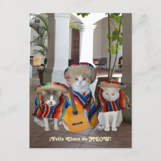 Postal Cats divertidos Feliz Cinco de Mayo