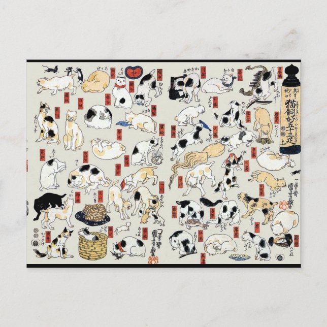 Postal Cats Galore (Anverso)