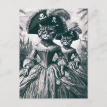 Cats piratas escuetos