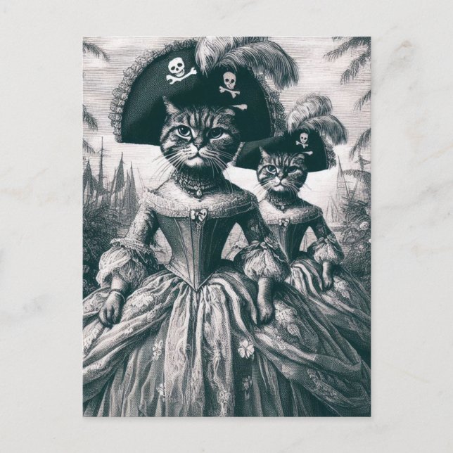 Postal Cats piratas escuetos (Anverso)