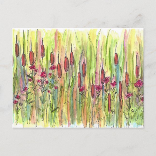 Postal Cattails Flores silvestres pradera dibujos de acua (Anverso)