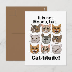 Postal Cattitud Amantes de los Estados de Ánimo de los Ga