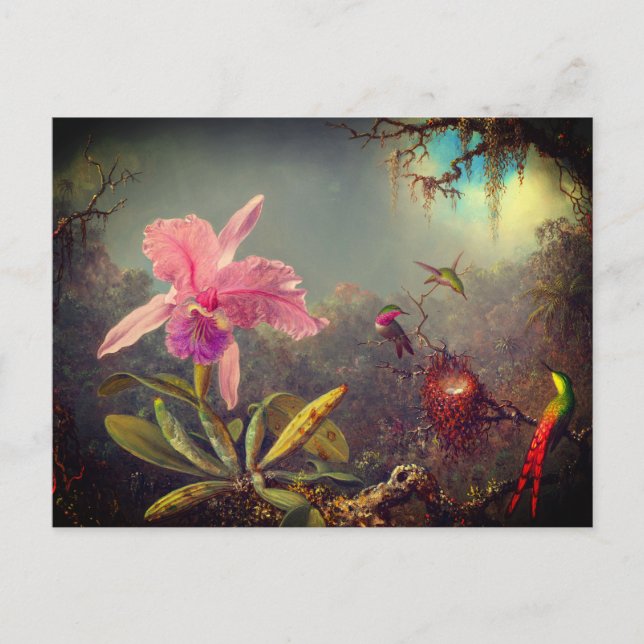Postal Cattleya Orchid y tres Hummingbirds Heade (Anverso)